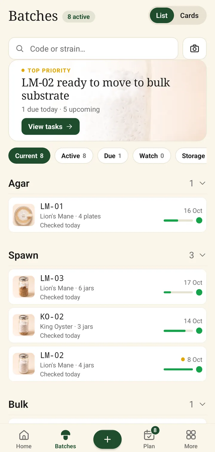 The Batches list, grouped by stage. Six jars of lion's mane from one batch are shown as a single row with a progress bar.