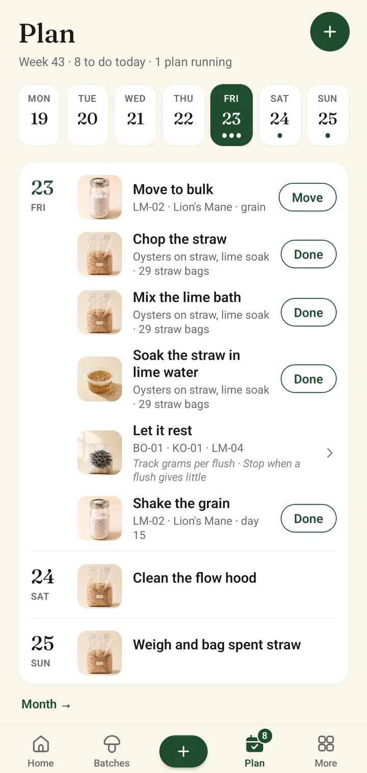 The Plan tab for week 43: a strip of days along the top and the tasks for Friday, like chop the straw and shake the grain, each with a Done button.
